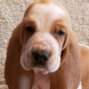 Meet your Posher, Tom